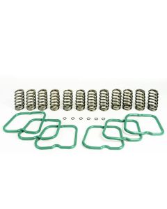 1994-1998 Dodge Ram 2500/Ram 3500 - Pacbrake Basic Spring Kit - 12 Springs for Cummins 12 Valve Engine | HP10240