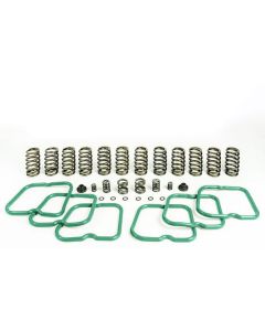 1994-1998 Dodge Ram 2500/Ram 3500- Pacbrake Premium Spring 12 Springs for P7100 Injection Pump | HP10243