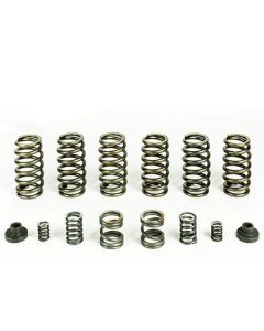 1994-1998 Dodge Ram 2500/Ram 3500 - Pacbrake 6 HD Valve Springs for P7100 Injection Pump | HP10246